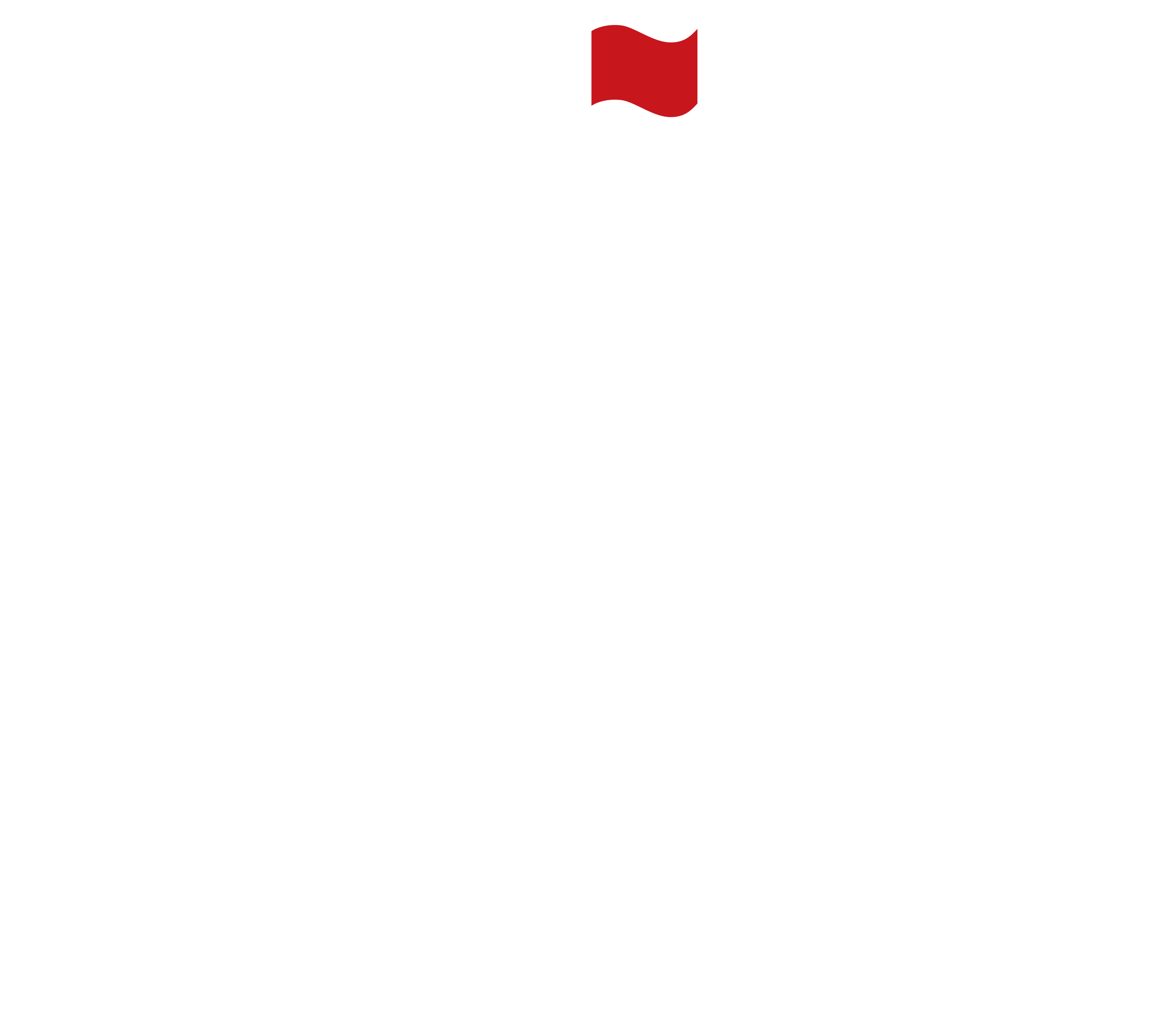 BEST SWING